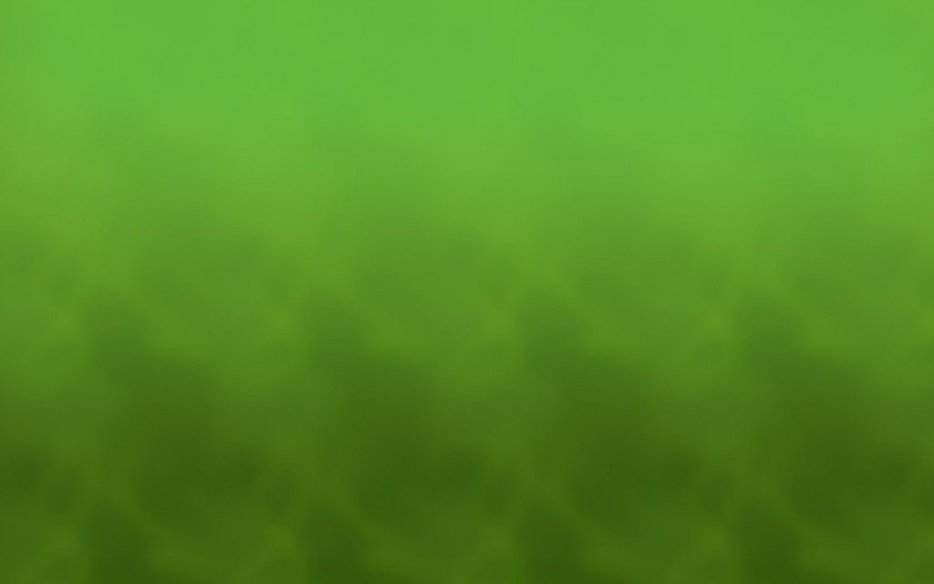green-background - The Wellness Workshop